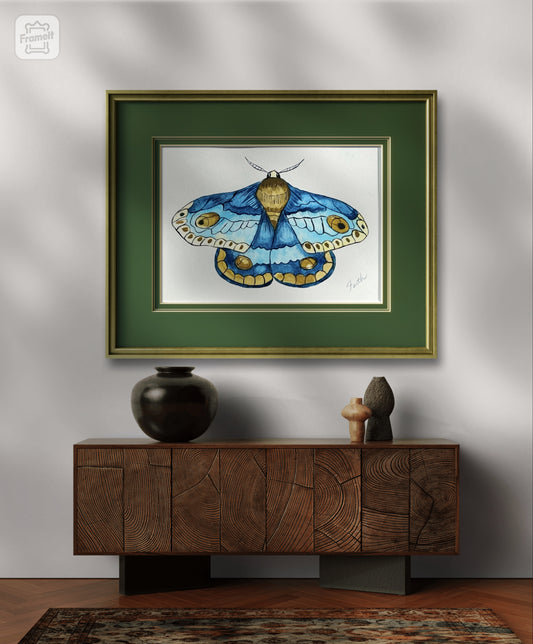 Moth